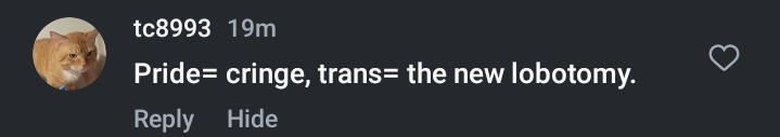 an instagram comment saying "pride equals cringe. trans equals the new lobotomy."